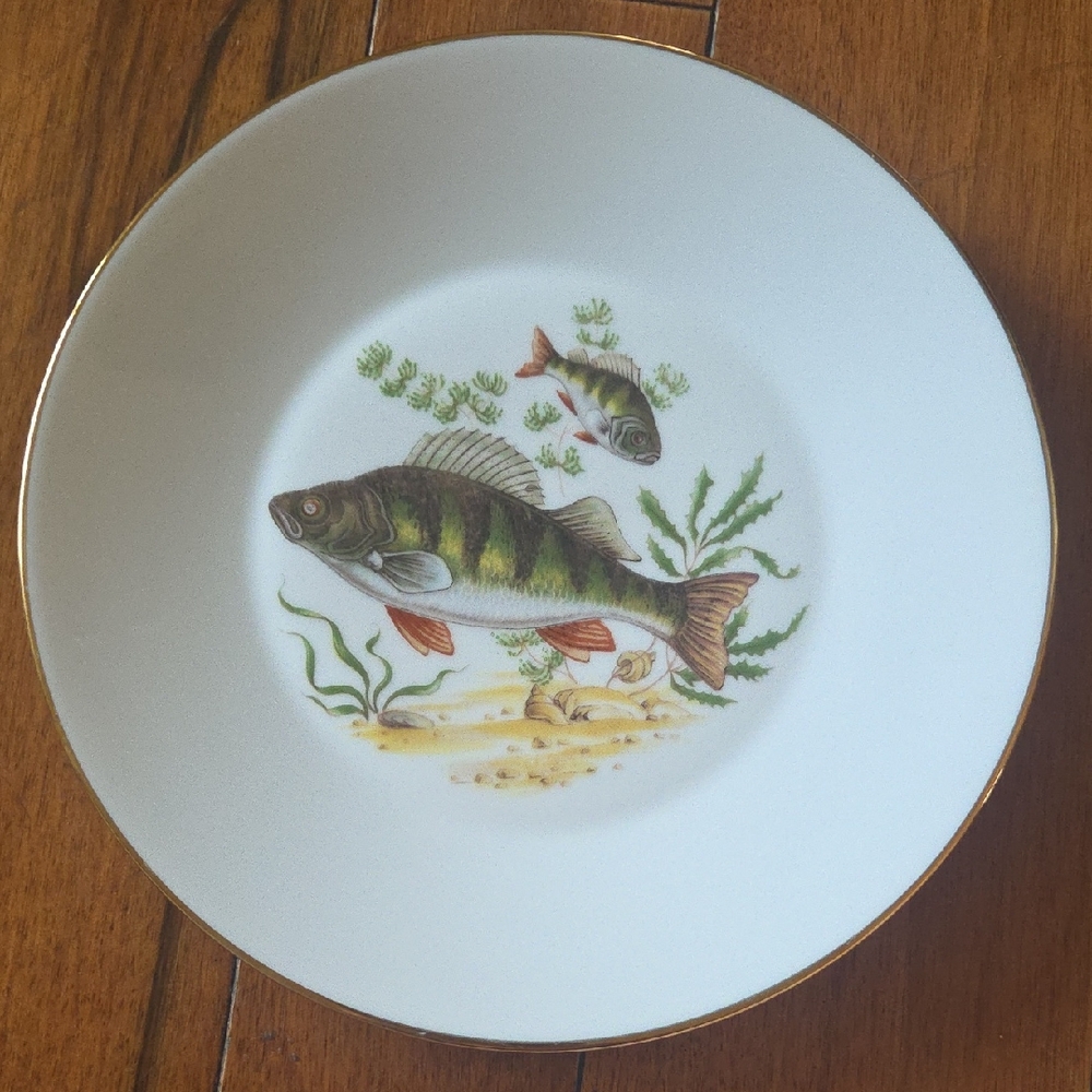 Elegant Mid-Century Fish Design Dinner Plate 9.5"